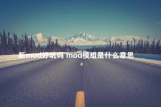 新mod好玩吗 mod模组是什么意思